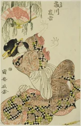 Herbata C i r Fujikawa Tomokichi Ii As Okaru, żona rządu
