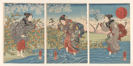 Dede Tamarilier Inde Prowincjał Yamashiro Yamashiro Country Tamagawa