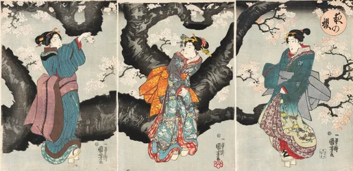 Yoru no sakura [Kwitnąca wiśnia nocą], ok.1846 (odbitka drzeworytowa)