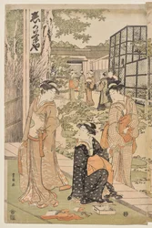 Herbaciarnia Shika