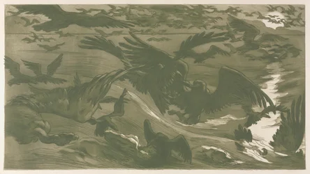 Drapieżne ptaki, 1893.