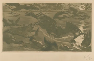 Ptaki drapieżne Ptaki drapieżne, 1893.