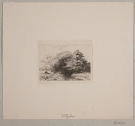 Skraj lasu