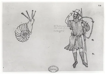 Fol.2 Ślimak i węgierski żołnierz (kopia faksymile)