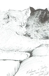 Montwee i Baby Nowy Rok 2005, 2005