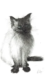 Małe dziecko, 2004