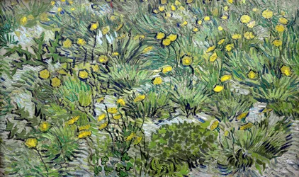 Mlecze Mlecze, 1889.