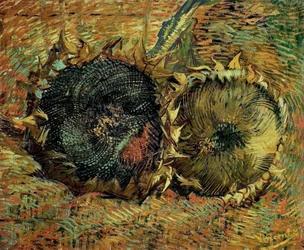 Dwa słoneczniki cięte, 1887.