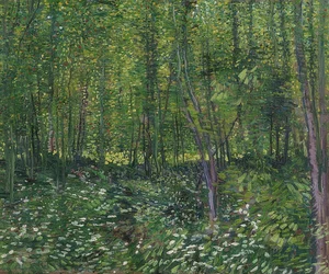 Drzewa i runo leśne. 1887