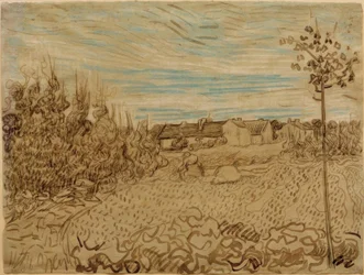 Dom na polu