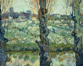 Widok na Arles