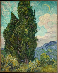 Cyprysy