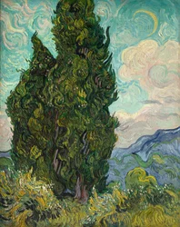 Cyprysy