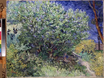 „Krzak bzu” (Krzak bzu) Obraz Vincenta van Gogha (1853-1890) 1889 Wymiary 72x92 cm Ermitaż, Sankt Petersburg (Sankt-Petersburg)