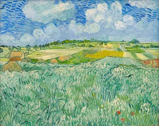 Równina koło Auvers