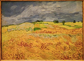 Równina w Auvers