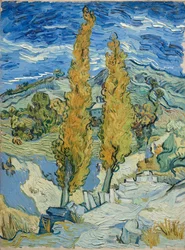 Topole w Saint-Rémy, 1889