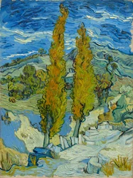 Dwie topole w Alpilles w pobliżu Saint-Rémy