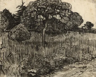Płaczące drzewo, 1889