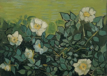 Wildrosen. 1889