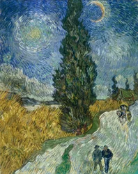 Ścieżka z cyprysów pod rozgwieżdżonym niebem