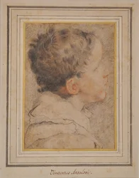 Szef Chłopca