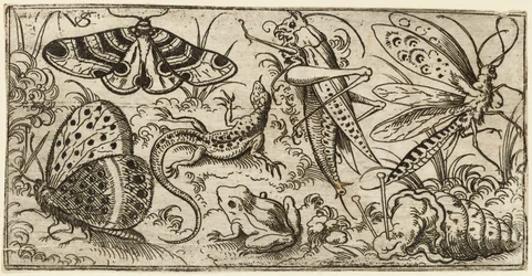 Grupa owadów i zwierząt na równinnym terenie z trawą..., 1530 - 1562.