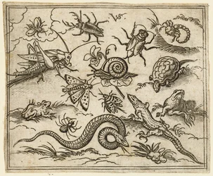 Grupa owadów i gadów na równinnym terenie ze skałami, w tym iguana, jaszczurka..., 1557.