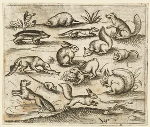 Grupa małych leśnych stworzeń jedzących i biegających wokół stawu, w tym mysz..., 1557.