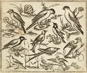 Jedenaście ptaków siedzących na płatach kwitnących liści i małych gałęzi na minimalnym podłożu z motylem, z albumu Douce Ornament Prints I