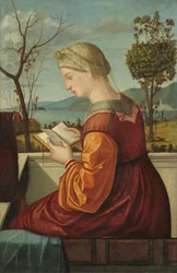 Czytająca Madonna, około 1505.