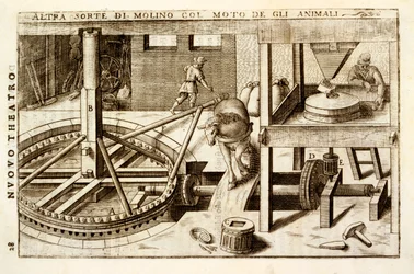 Frezarka konna 1607