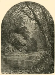 „Wyspy mchu w Juniacie”, 1874.