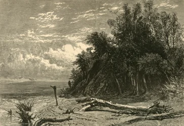 „Brzeg w Lake Forest”, 1874.