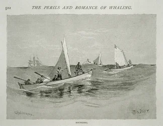 „Sounding” (załogi małych łodzi z ręcznymi harpunami przygotowują się do polowania), za „The Perils and Romance of Whaling” w Century Magazine, czerwiec 1890 (rycina)