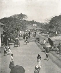 Scena uliczna w pobliżu ratusza, Kolombo, Cejlon, 1895.