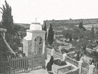 Ogród Getsemani, Jerozolima, Palestyna, 1895.