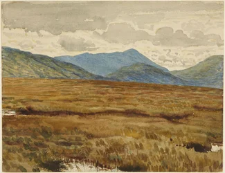 Wrzosowisko Aros, wyspa Mull