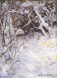 Śnieg