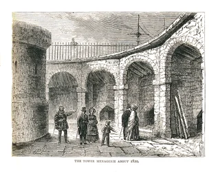 Menedżerowie wieży, 1878
