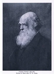 Etching of Charles Darwin, Nature in Britain, wydane przez Collins