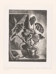 Filodendron w ramie okiennej