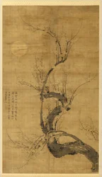 Prunus w świetle księżyca