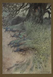 Tablica 11: "Setki pawi o wspaniałym upierzeniu przyszły na groble, aby jeść khai", z Folk-Tales of Bengal ... Z 32 kolorowymi ilustracjami Warwicka Goble