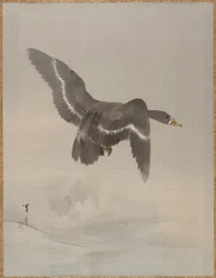 Latająca gęś, ca. 1887.