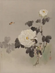 Róże, Młody Ptaszek i Motyl, ca. 1887.