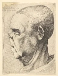 Groteskowy starzec ze spłaszczonym nosem w lewym profilu, 1625-77