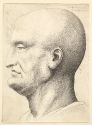 Głowa łysego mężczyzny z profilu w lewo, 1644-52