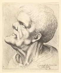Głowa mężczyzny z wystającym podbródkiem i zadartym nosem, patrząca w górę z profilu w lewo, 1625-77.
