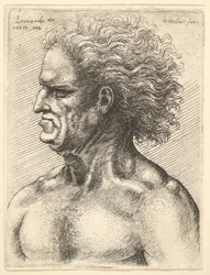 Głowa muskularnego starca z profilu po lewej z rozwianymi włosami, 1625-77.